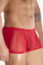 Deluxerie Sexy Herren Boxer Charlemagne 2