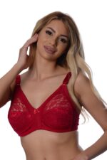 Deluxerie Minimizer Bh Shelly 5