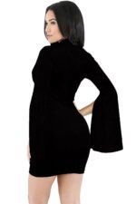 Deluxerie Mini Kleid Meridith 2