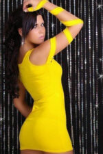 Deluxerie Mini Kleid Roselaine